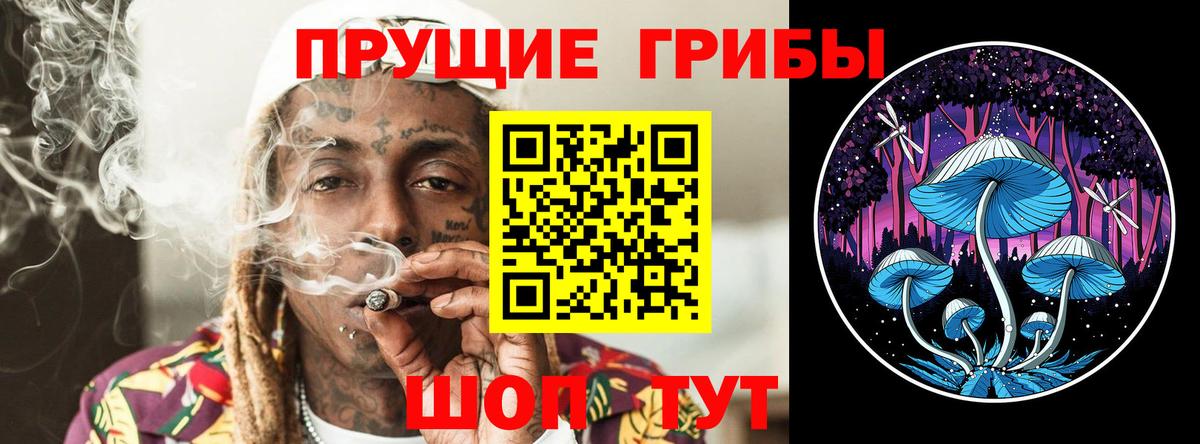 Псилоцибиновые грибы Psilocybe Россия