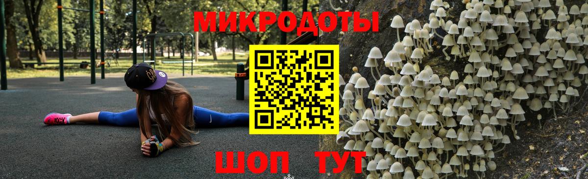 Галлюциногенные грибы GOLDEN TEACHER  Вход с VPN  что такое   Россия 